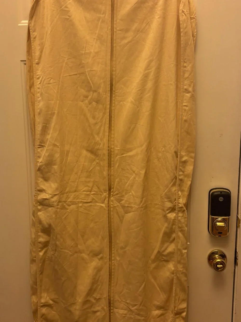 Louis Vuitton luxury closet
